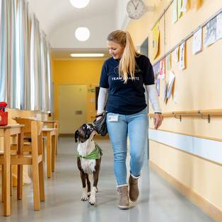 Therapiehund Rosa auf Station der Charité